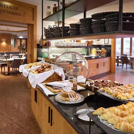 Alpenhaus فندق